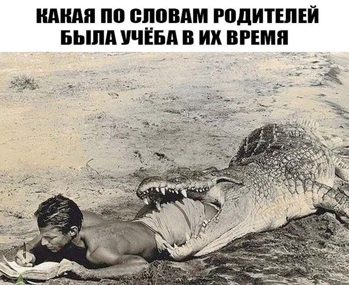 КАКАЯ ПО СЛОВАМ РОДИТЕЛЕЙ БЫЛА УЧЁБА В ИХ ВРЕМЯ