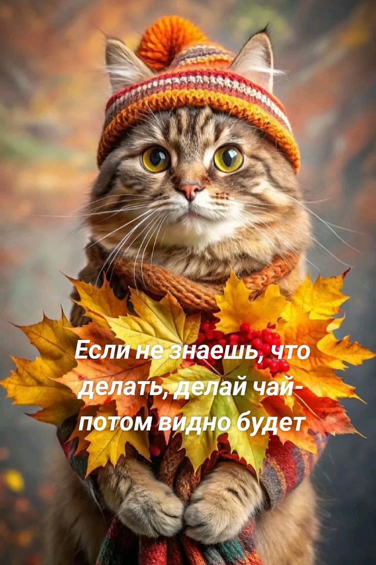 Если не знаешь, что делать, делай чай - потом видно будет