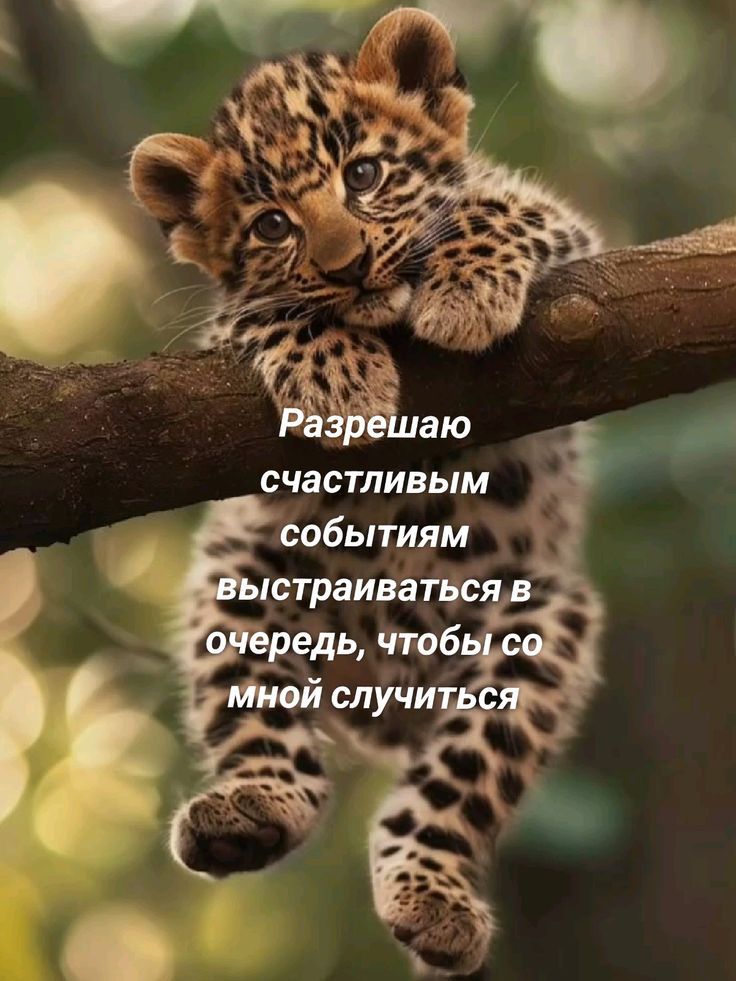 Разрешаю счастливым событиям выстраиваться в очередь, чтобы со мной случиться