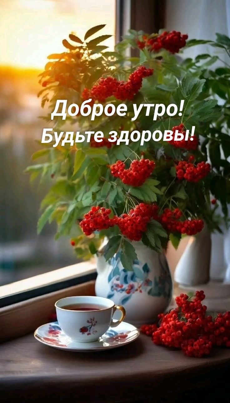 Доброе утро! Будьте здоровы!