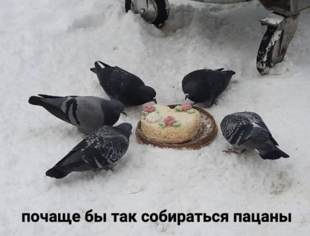 почаще бы так собираться пацаны