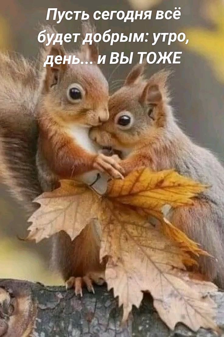 Пусть сегодня всё будет добрым: утро, день… и ВЫ Тоже