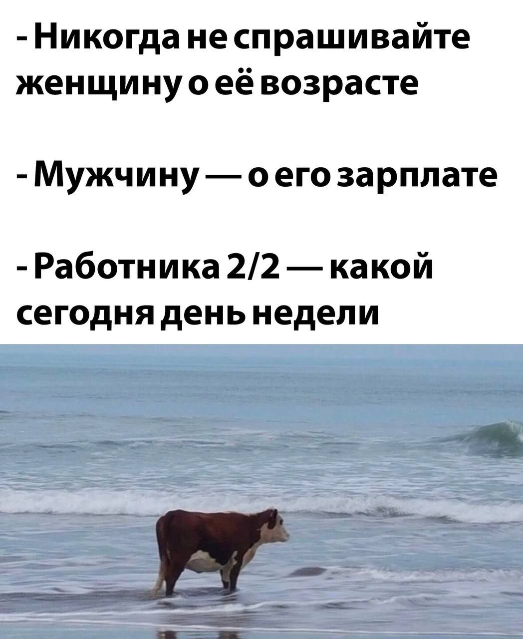 Никогда не спрашивайте женщину о её возрасте
- Мужчину — о его зарплате
- Работника 2/2 — какой сегодня день недели
