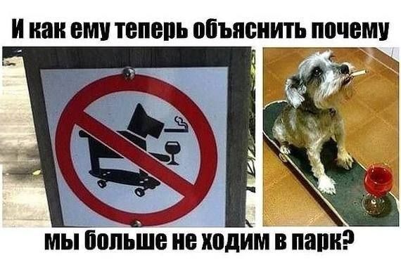 И как ему теперь объяснить почему мы больше не ходим в парк?