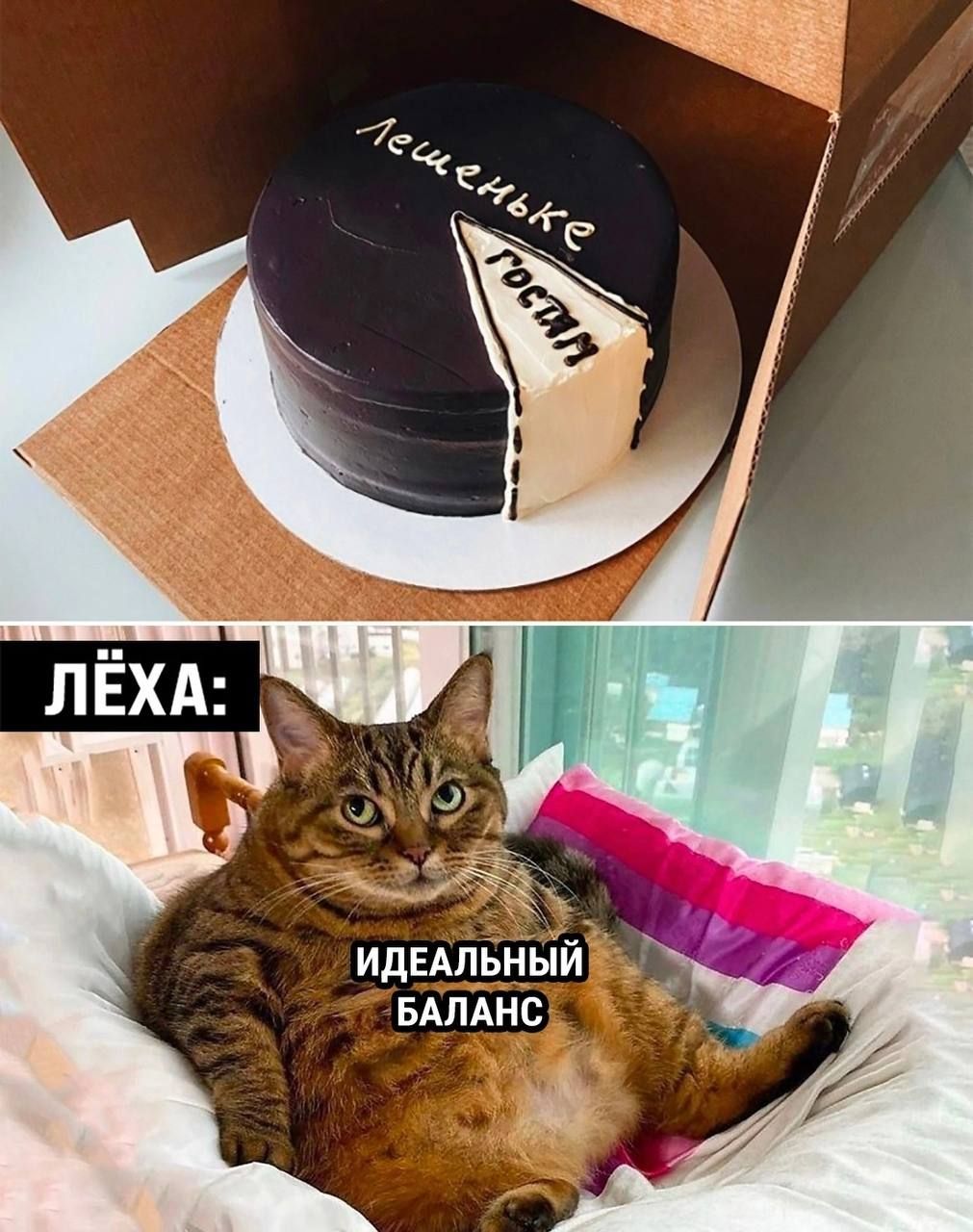 Лешеньке,
Лёха:
Идеальный баланс