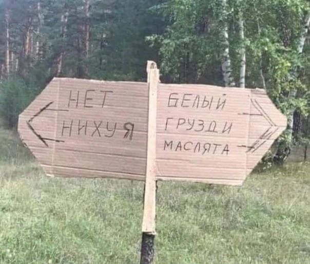 НЕТ НИХУЯ
БЕЛЫЙ ГРУЗДИ
МАСЛЯТА