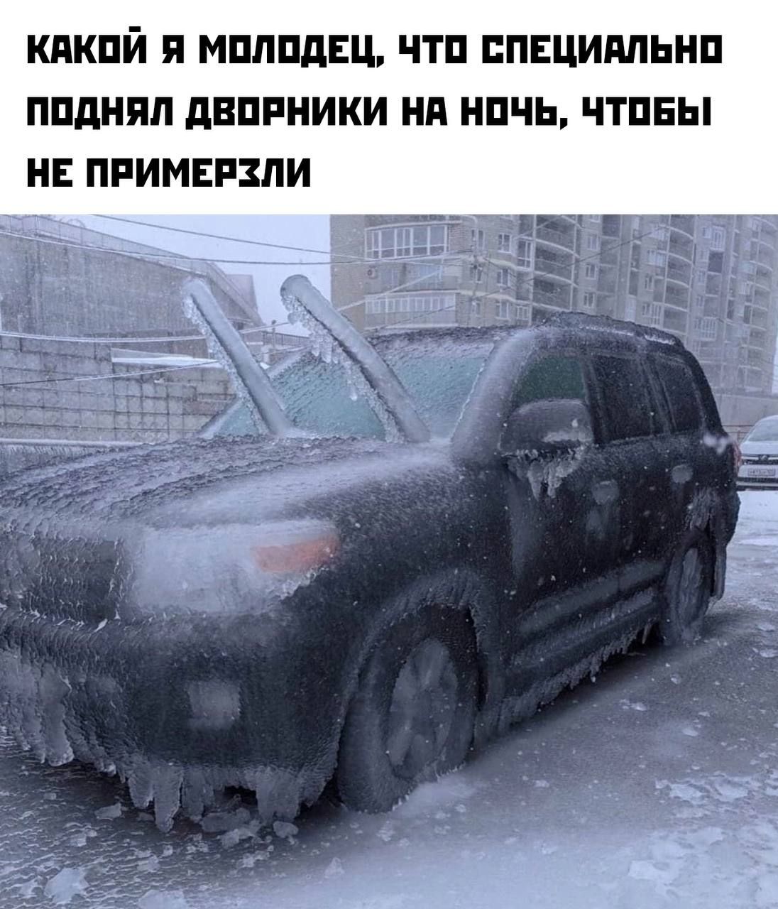 КАКОЙ Я МОЛОДЕЦ, ЧТО СПЕЦИАЛЬНО ПОДНЯЛ ДВОРНИКИ НА НОЧЬ, ЧТОБЫ НЕ ПРИМЕРЗЛИ
