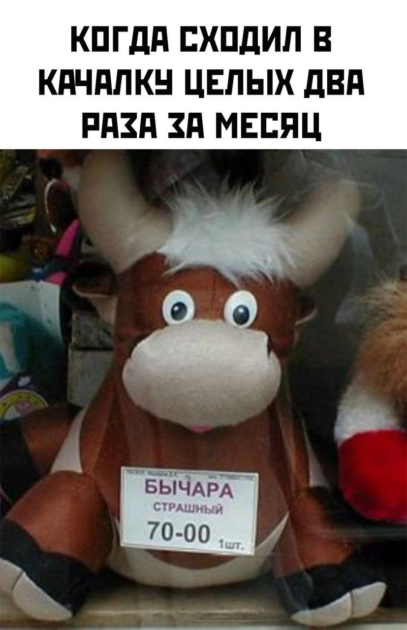 КОГДА СХОДИЛ В КАЧАЛКУ ЦЕЛЫХ ДВА РАЗА ЗА МЕСЯЦ
БЫЧАРА СТРАШНЫЙ 70-00 1 шт.