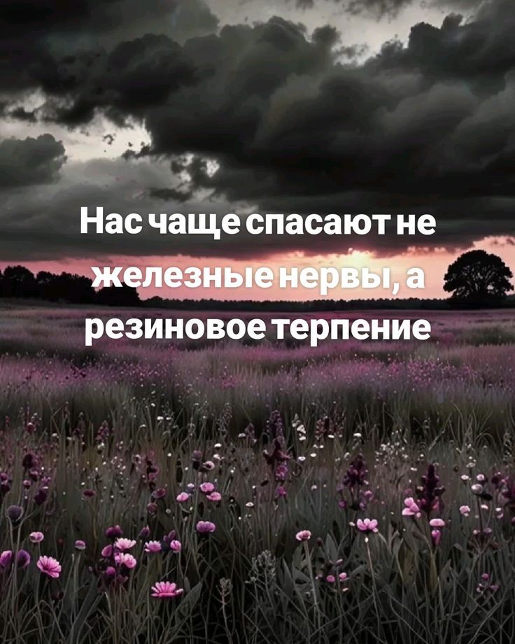 Нас чаще спасают не железные нервы, а резиновое терпение
