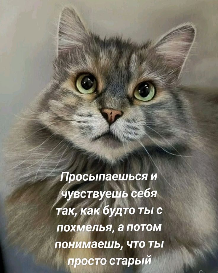 Просыпаешься и чувствуешь себя так, как будто ты с похмелья, а потом понимаешь, что ты просто старый