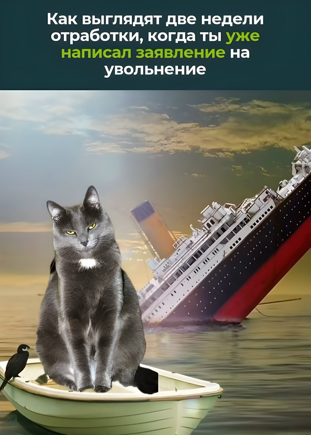 Как выглядят две недели отработки, когда ты уже написал заявление на увольнение