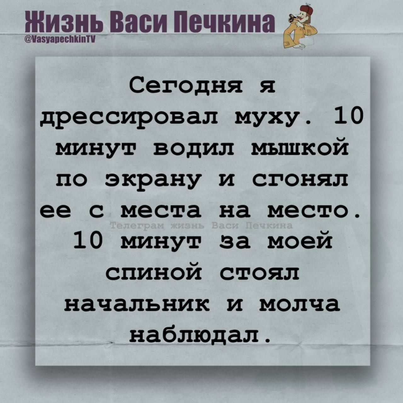 Сегодня я дрессировал муху. 10 минут водил мышкой по экрану и стянул ее с места на место. 10 минут за моей спиной стоял начальник и молча наблюдал.
