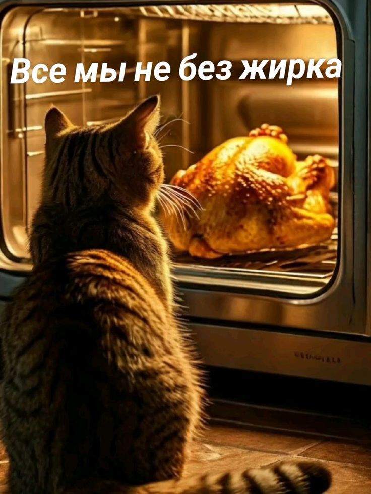 Все мы не без жирка