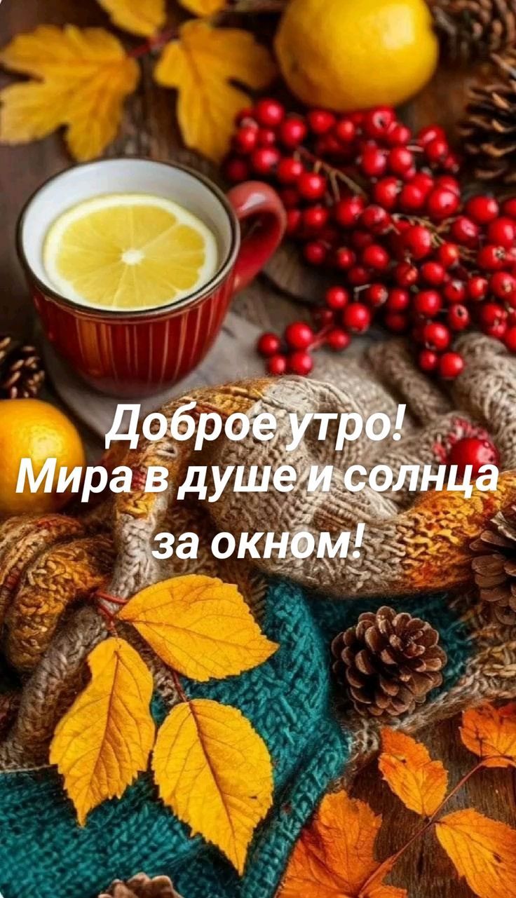 Доброе утро! Мира в душе и солнца за окном!
