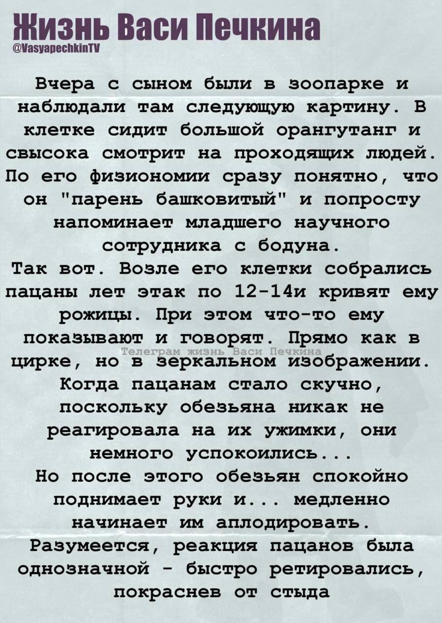 Вчера с сыном были в зоопарке и наблюдали там следующую картину. В клетке сидит большой орангутанг и свысока смотрит на проходящих людей. По его физиономии сразу понятно, что он 