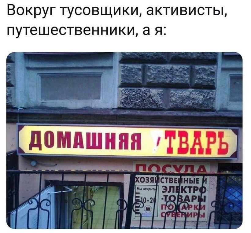 Вокруг тусовщики, активисты, путешественники, а я: ДОМАШНЯЯ ТВАРЬ