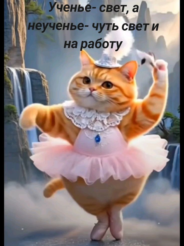 Ученье- свет, а неученье- чуть свет и на работу