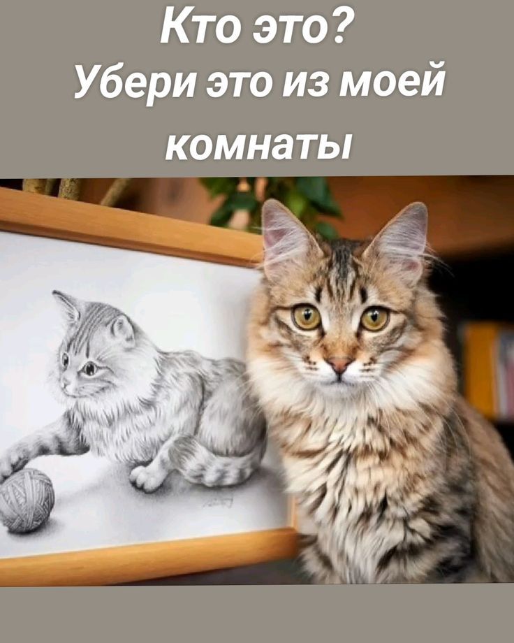 Кто это? Убери это из моей комнаты