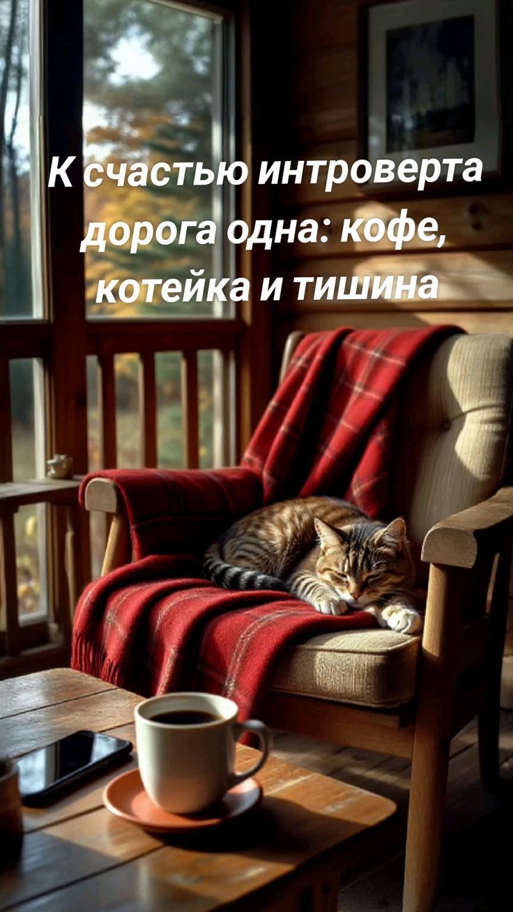 К счастью интроверта дорога одна: кофе, котейка и тишина