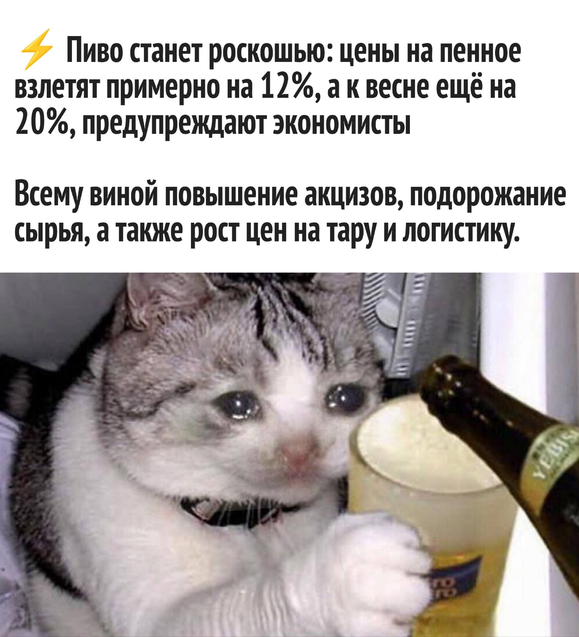 ⚡ Пиво станет роскошью: цены на пивное взлетят примерно на 12%, а к весне ещё на 20%, предупреждают экономисты Всеми виновны повышение акцизов, подорожание сырья, а также рост цен на тару и логистику.