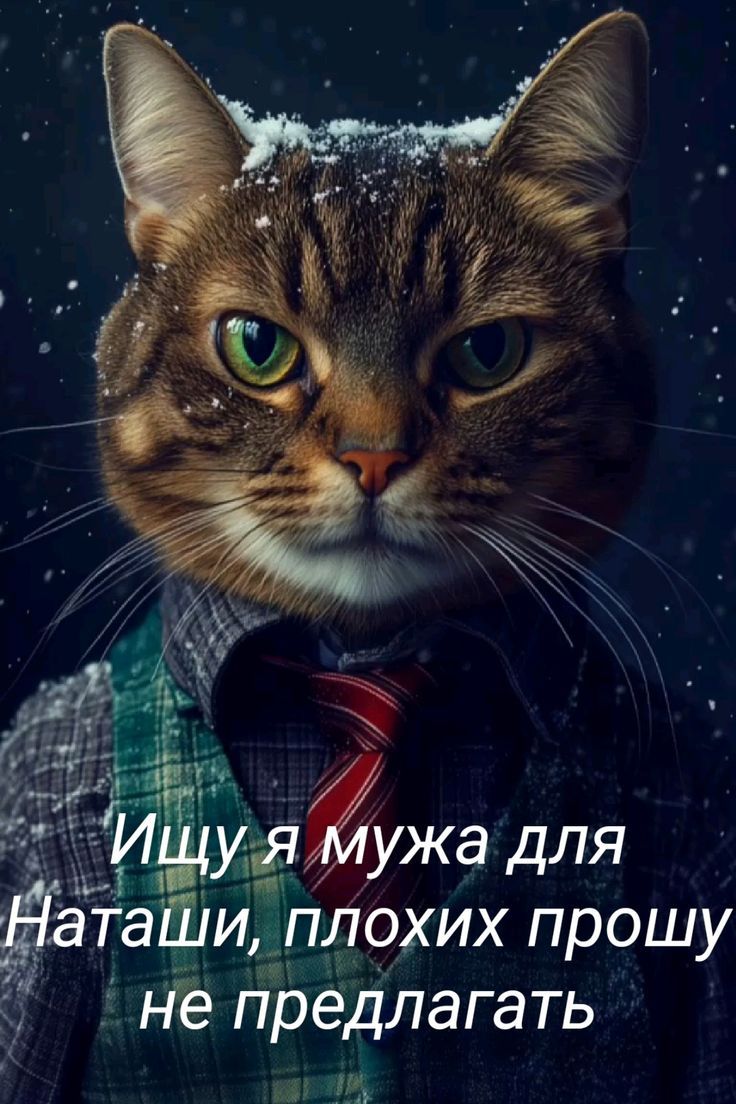 Ищу я мужа для Наташи, плохих прошу не предлагать