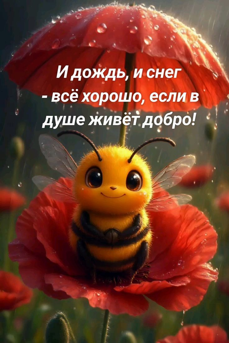 И дождь, и снег - всё хорошо, если в душе живёт добро!