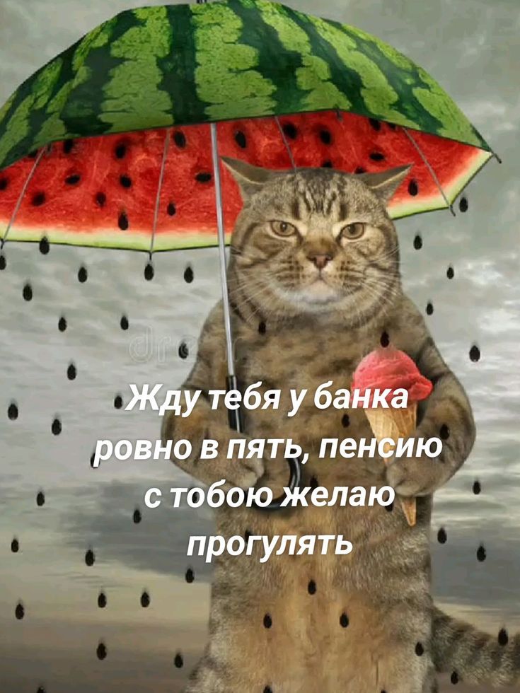 Жду тебя у банка ровно в пять, пенсию с тобою желаю прогулять