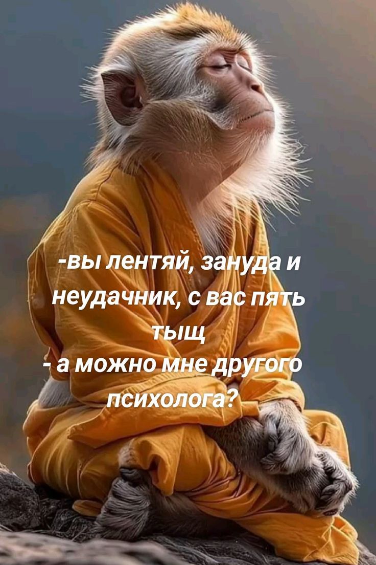 - вы лентяй, зануда и неудачник, с вас пять тыщ
- а можно мне другого психолога?