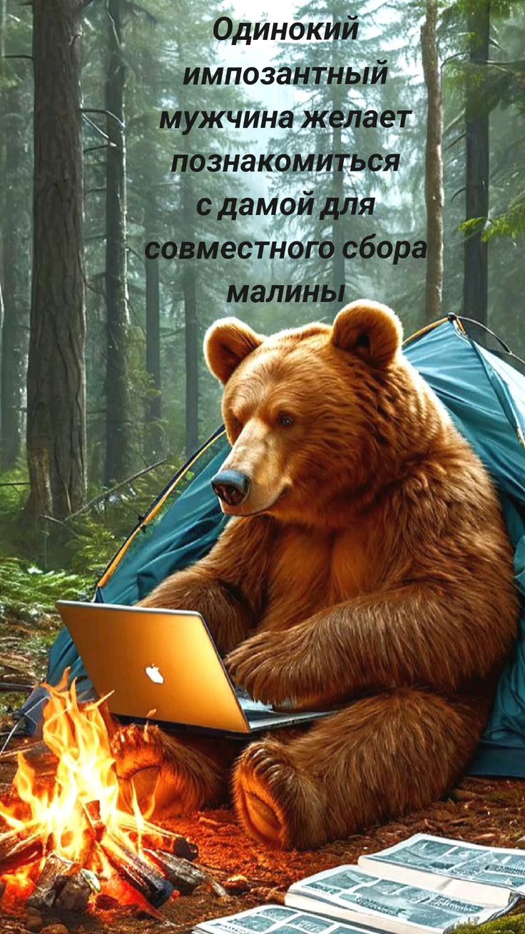 Одинокий импозантный мужчина желает познакомиться с дамой для совместного сбора малины!