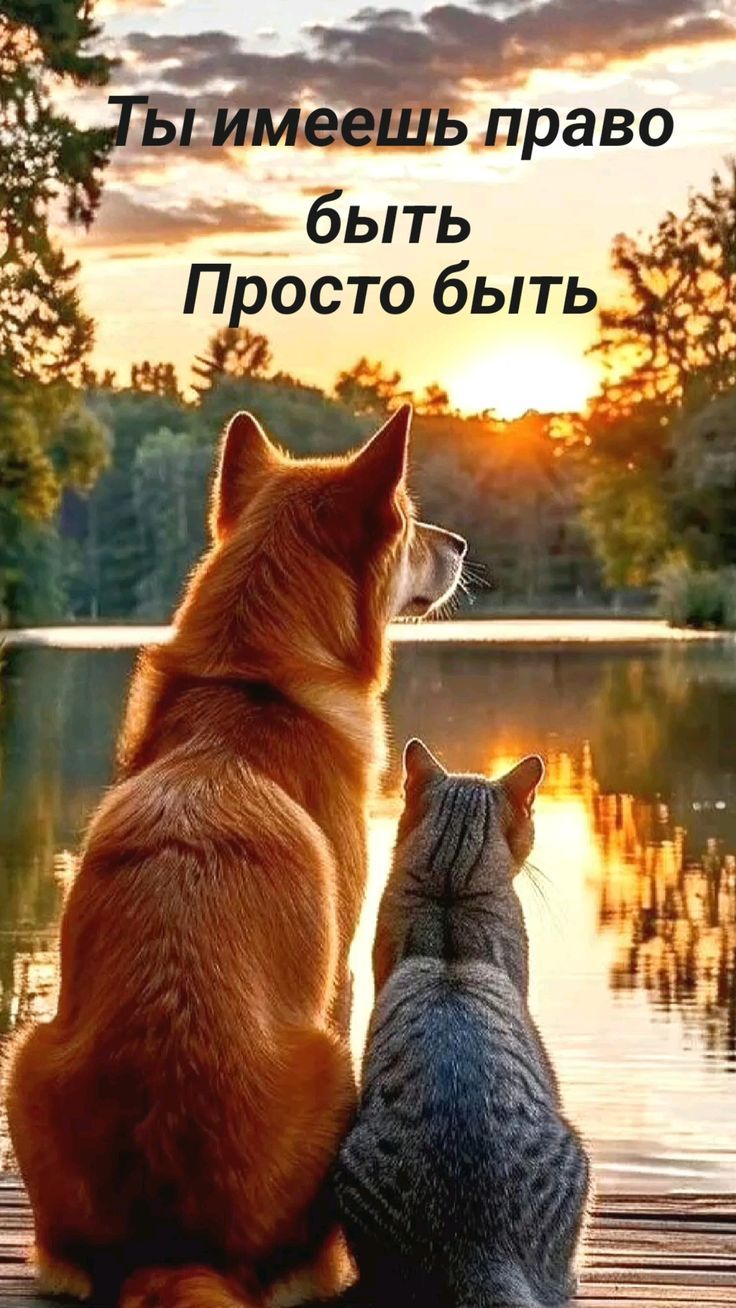 Ты имеешь право быть Просто быть