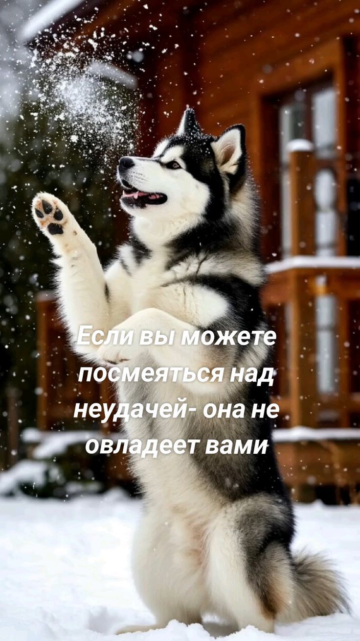 Если вы можете посмеяться над неудачей - она не овладеет вами