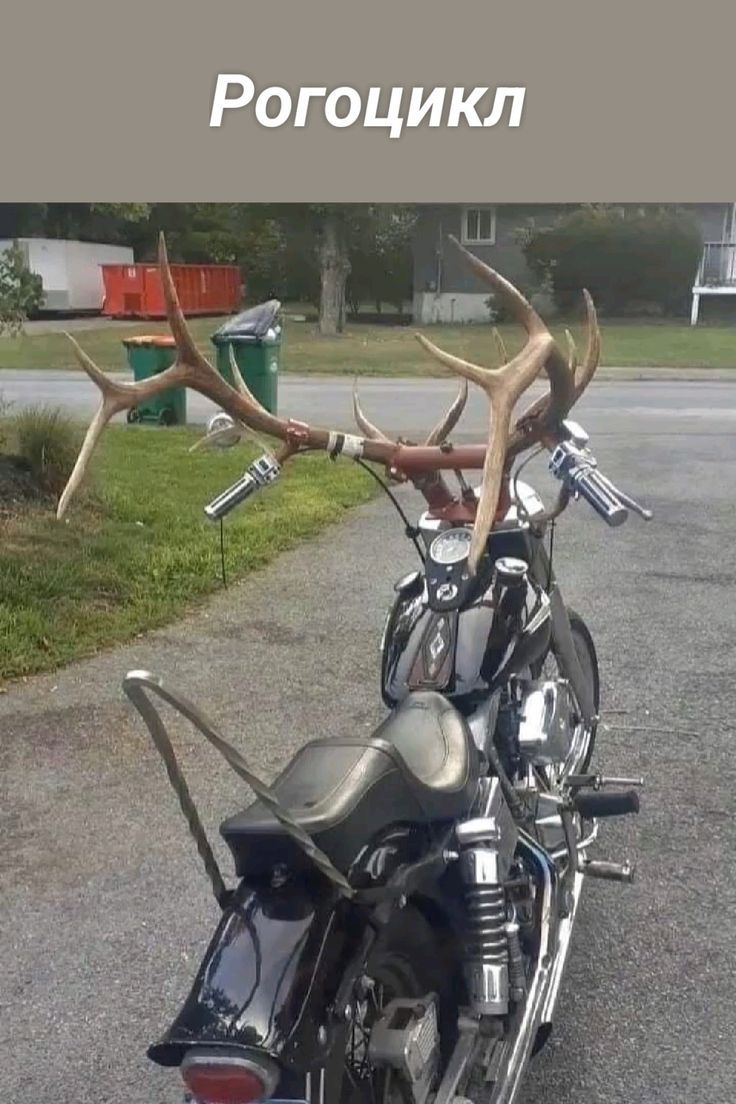 Рогоцикл