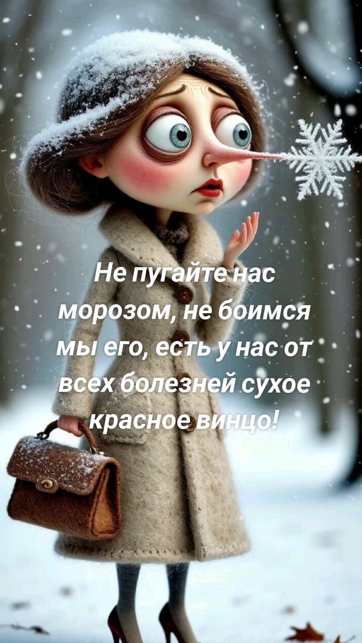 Не пугайте нас морозом, не боимся мы его, есть у нас от всех болезней сухое красное винцо!