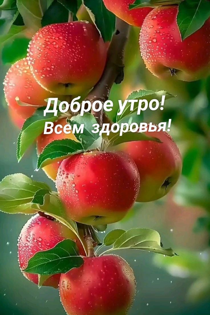 Доброе утро! Всем здоровья!