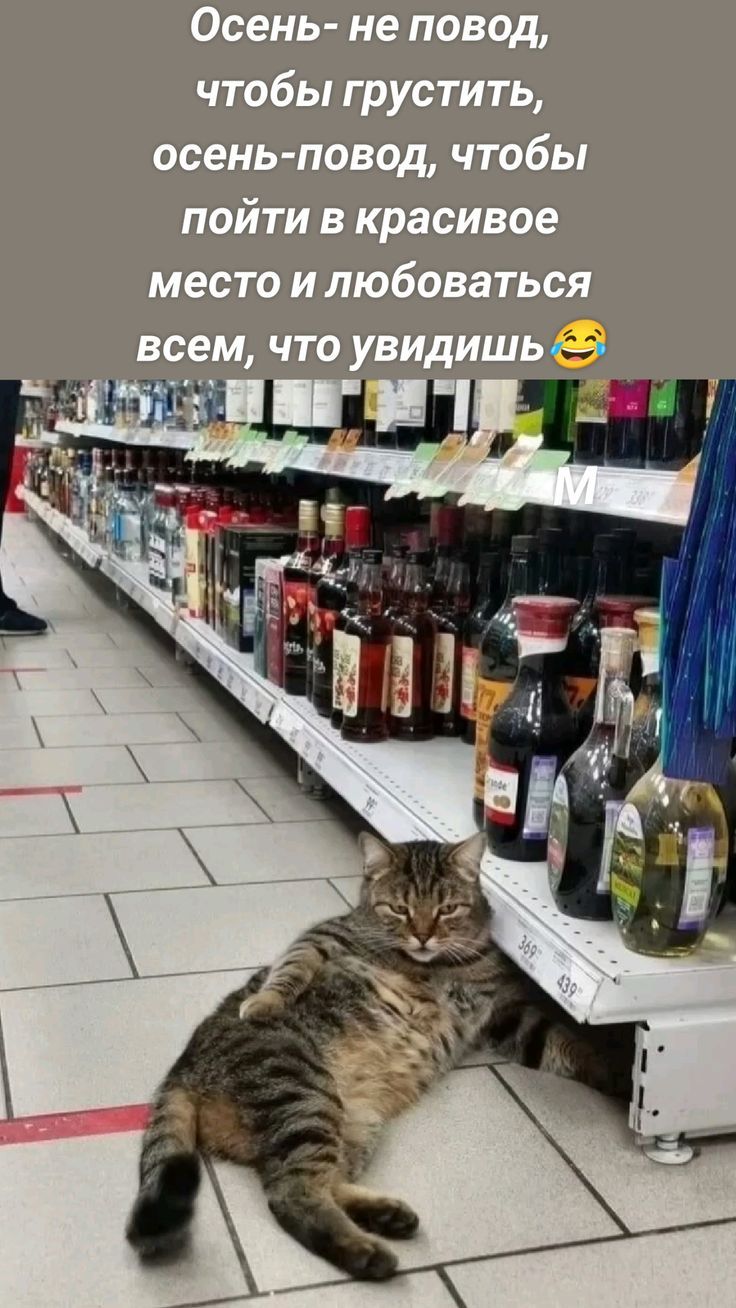 Осень- не повод, чтобы грустить, осень-повод, чтобы пойти в красивое место и любоваться всем, что увидишь😄