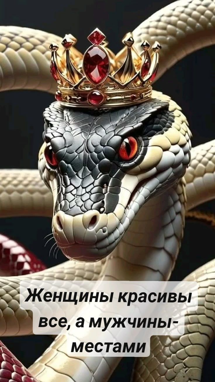 Женщины красивы все, а мужчины - местами