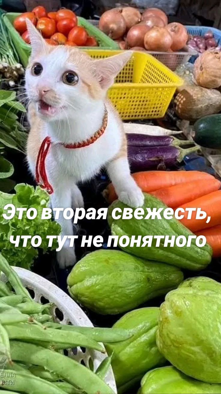 Это вторая свежесть, что тут не понятного