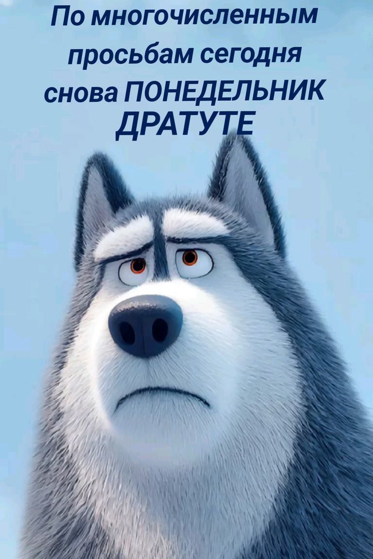 По многочисленным просьбам сегодня снова ПОНЕДЕЛЬНИК ДРАТУТЕ