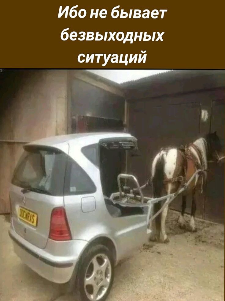 Ибо не бывает безвыходных ситуаций