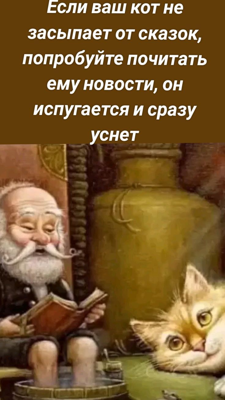 Если ваш кот не засыпает от сказок, попробуйте почитать ему новости, он испугается и сразу уснет