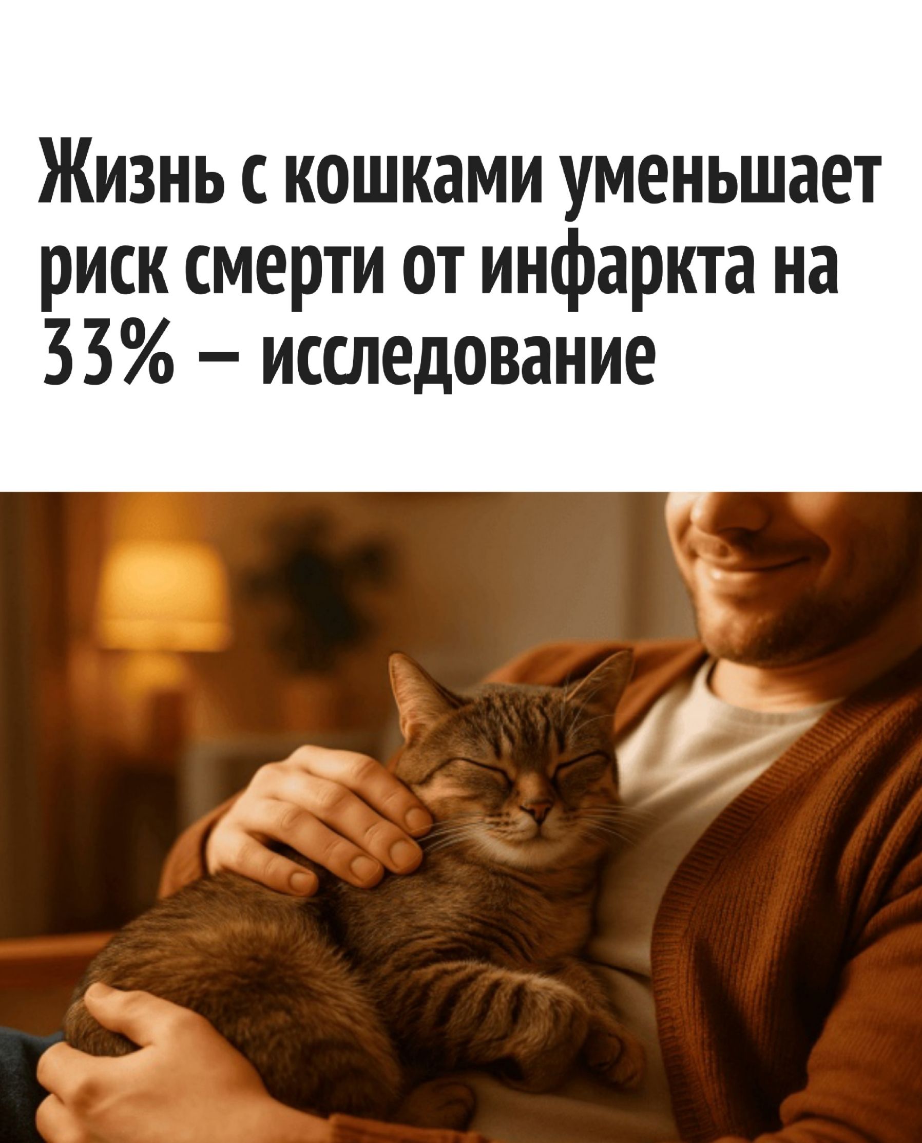 Жизнь с кошками уменьшает риск смерти от инфаркта на 33% – исследование