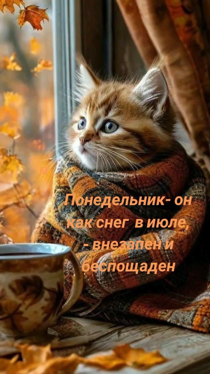 Понедельник- он как снег в июле, - внезапен и беспощаден