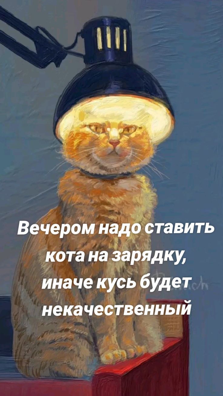Вечером надо ставить кота на зарядку, иначе кусь будет некачественный