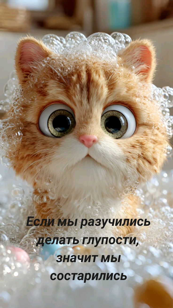 Если мы разучились делать глупости, значит мы состарились