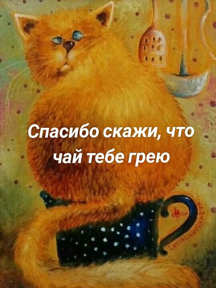 Спасибо скажи, что чай тебе грею