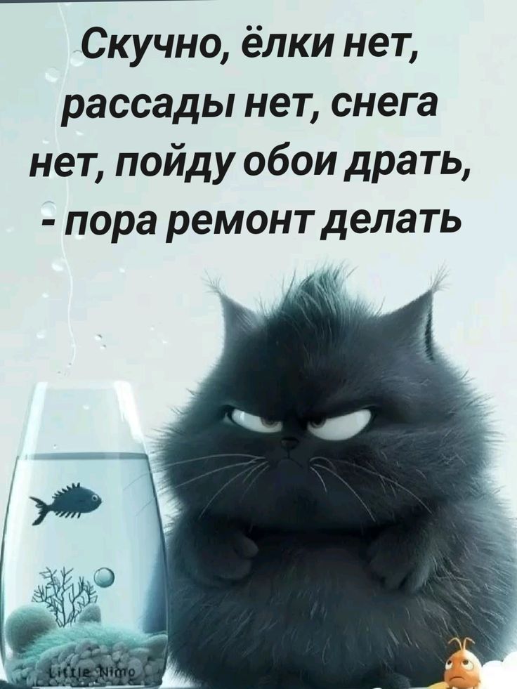 Скучно, ёлки нет, рассады нет, снега нет, пойду обои драть, - пора ремонт делать