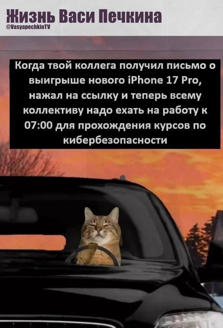 Когда твой коллега получил письмо о выигрыше нового iPhone 17 Pro, нажал на ссылку и теперь всему коллективу надо ехать на работу к 07:00 для прохождения курсов по кибербезопасности