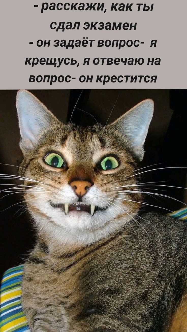 - расскажи, как ты сдал экзамен
- он задаёт вопрос- я крестюсь, я отвечаю на вопрос- он крестится