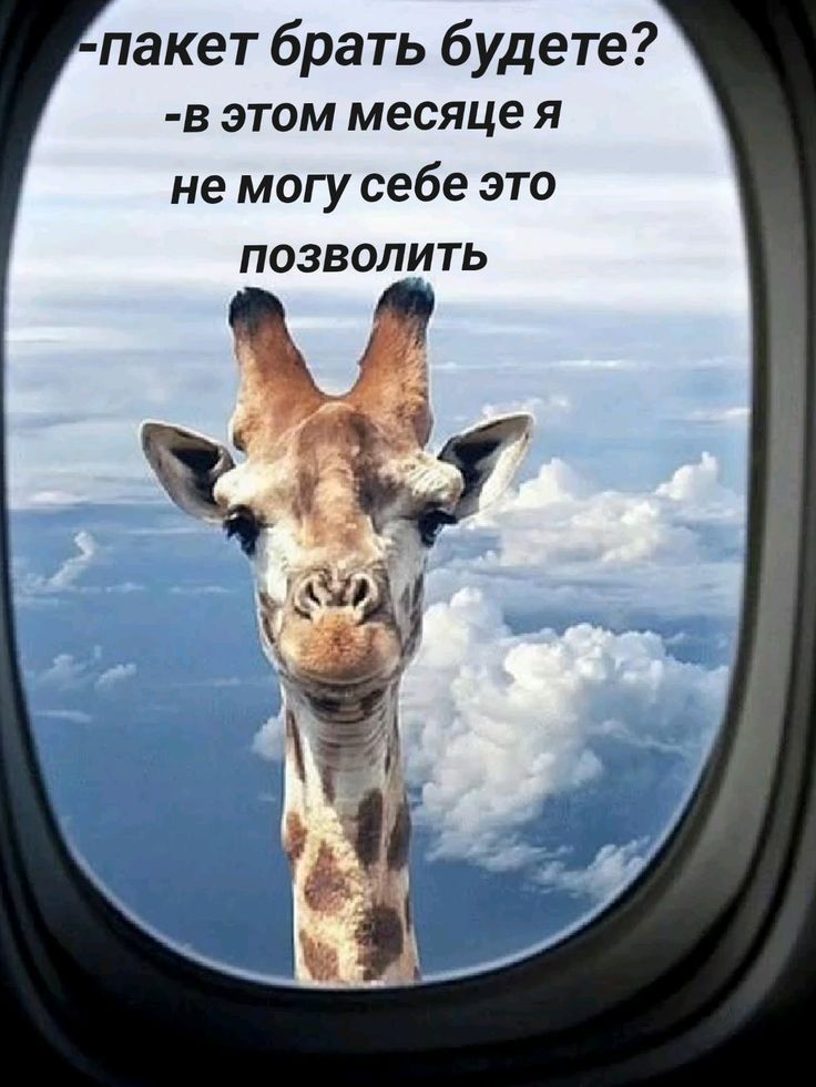 -пакет брать будете? 
-в этом месяце я не могу себе это позволить