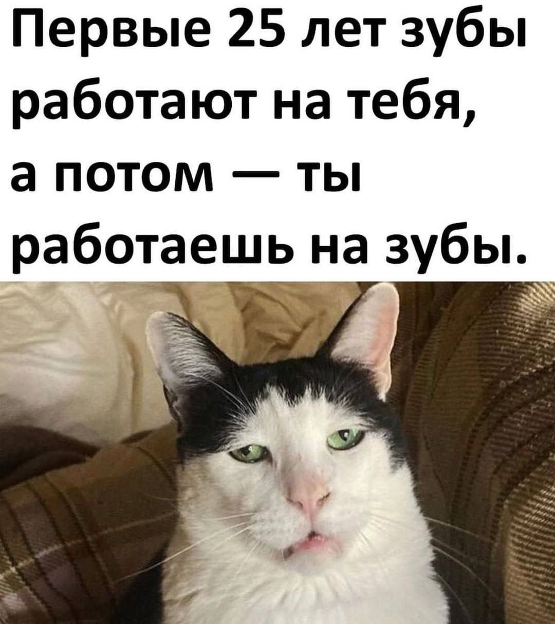Первый 25 лет зубы работают на тебя, а потом — ты работаешь на зубы.